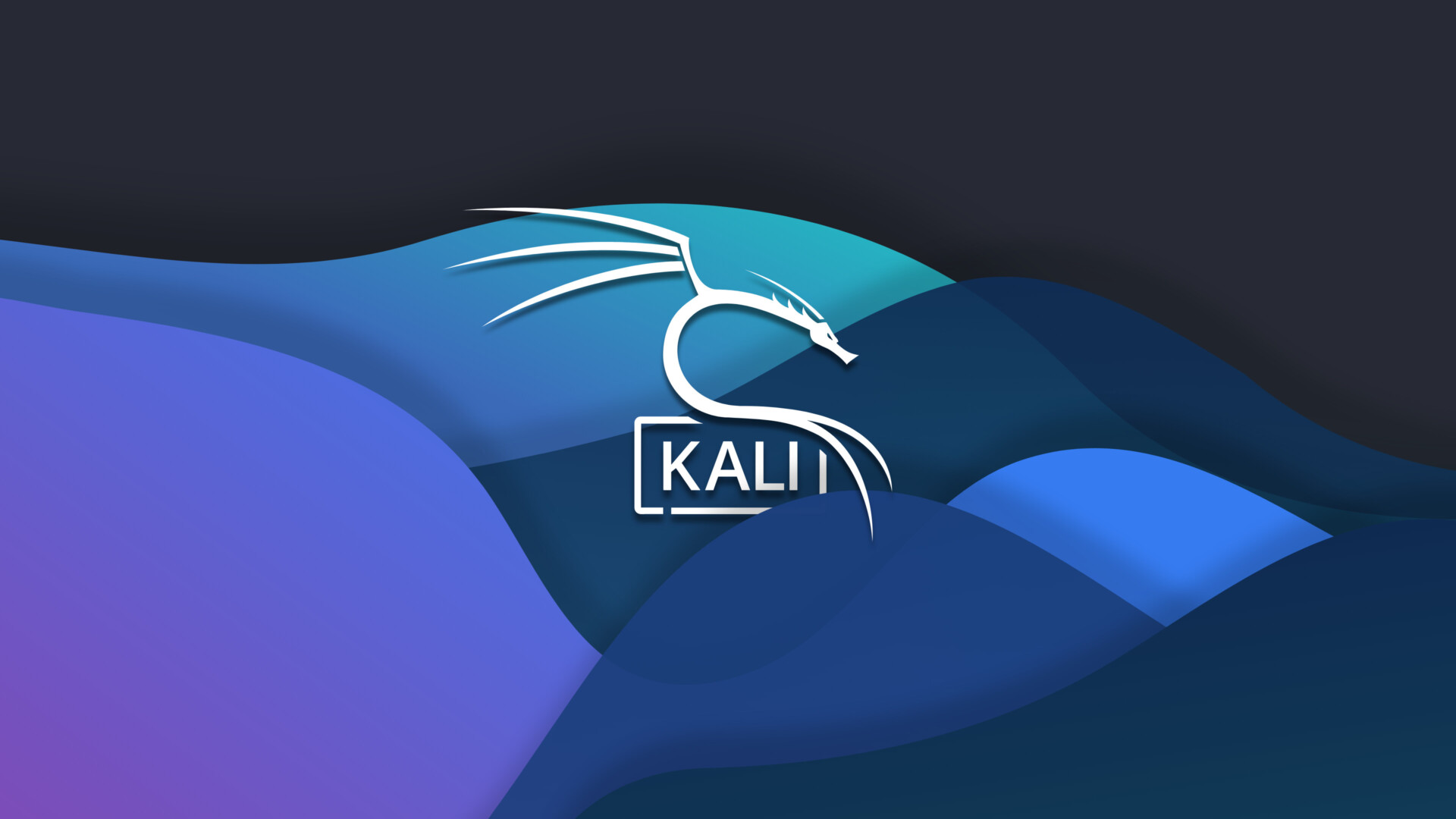 Kali Linux ISO v2025.1a |